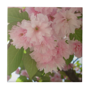 Doppelblühende Kirschbaum II Frühlingsflora Fliese