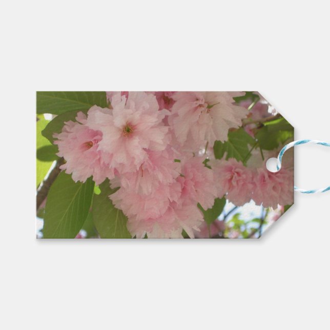 Doppelblühende Kirschbaum II Frühlingsflora Geschenkanhänger (Vorderseite (Horizontal))