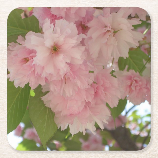 Doppelblühende Kirschbaum II Frühlingsflora Rechteckiger Pappuntersetzer (Vorderseite)