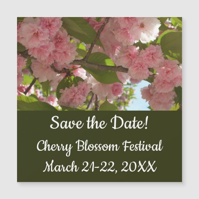 Doppelblühende Kirschbaum III Frühlingsflora Magnetkarte (Vorderseite)