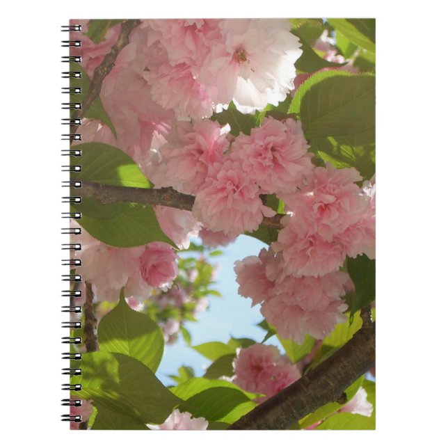 Doppelblühende Kirschbaum III Frühlingsflora Notizblock (Vorderseite)