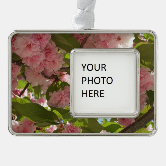 Doppelblühende Kirschbaum III Frühlingsflora Rahmen-Ornament Silber (Vorderseite)