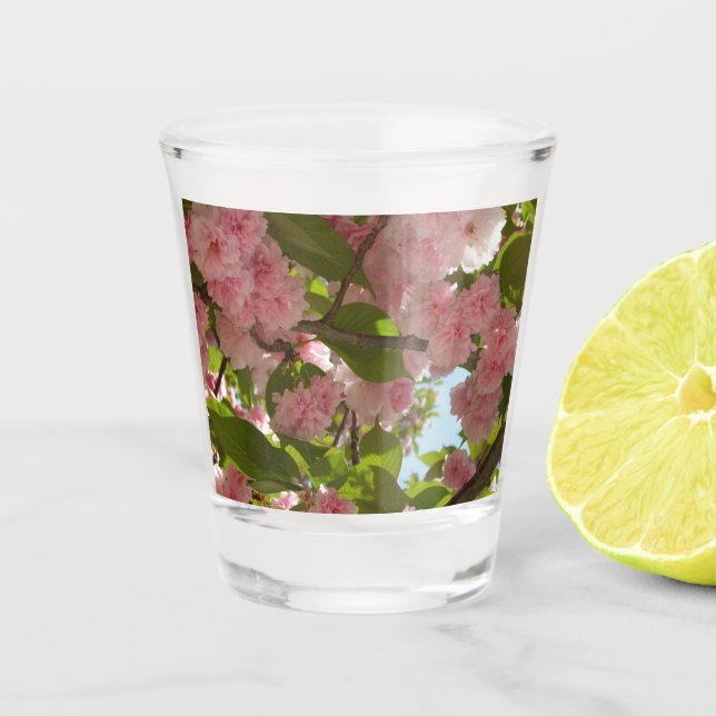 Doppelblühende Kirschbaum III Frühlingsflora Schnapsglas (Vorderseite)
