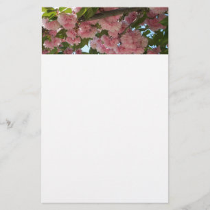 Doppelblühende Kirschbaum IV Frühjahr Briefpapier