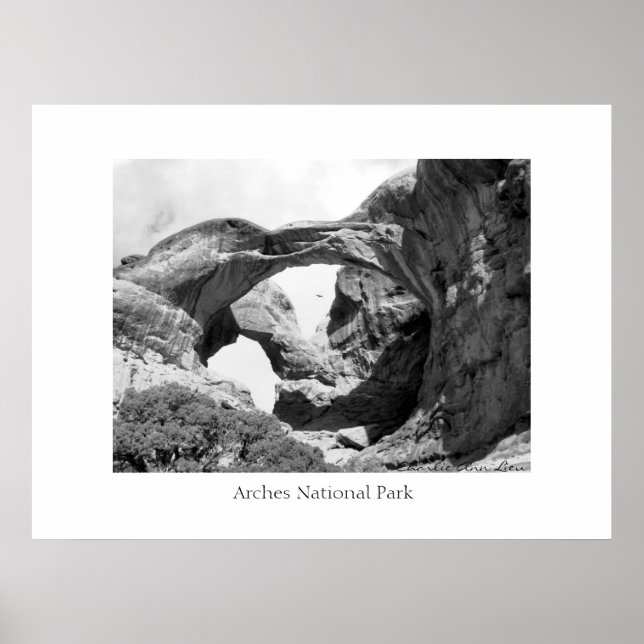 Doppelbogen Poster (Vorne)