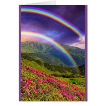 Doppelfelgenlandschaft