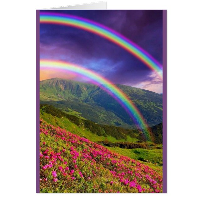 Doppelfelgenlandschaft (Vorne)