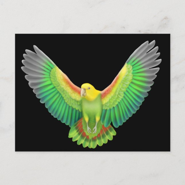 Doppelgelb gehüllter Amazonas Postkarte (Vorderseite)