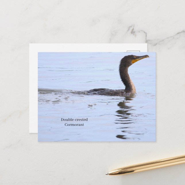 Doppelkamm-Kormoran Postkarte (Vorderseite/Rückseite Beispiel)