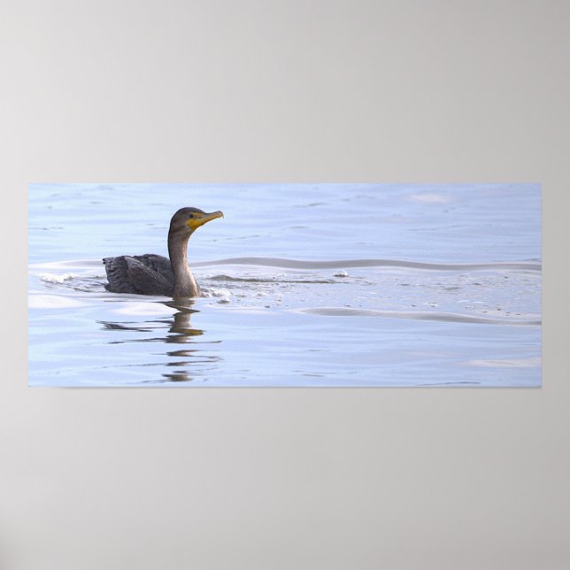 Doppelkamm-Kormoran-Vogelposter Poster (Vorne)