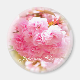 Doppelkirschblossom: Sato-zakura Magnet