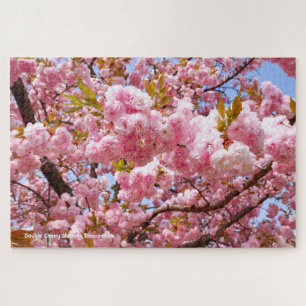 Doppelkirschblossom: Sato-zakura Puzzle