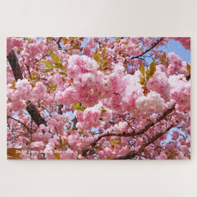 Doppelkirschblossom: Sato-zakura Puzzle (Horizontal)