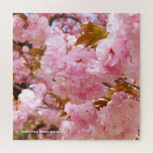 Doppelkirschblossom: Sato-zakura Puzzle