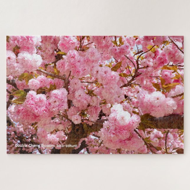 Doppelkirschblossom: Sato-zakura Puzzle (Horizontal)