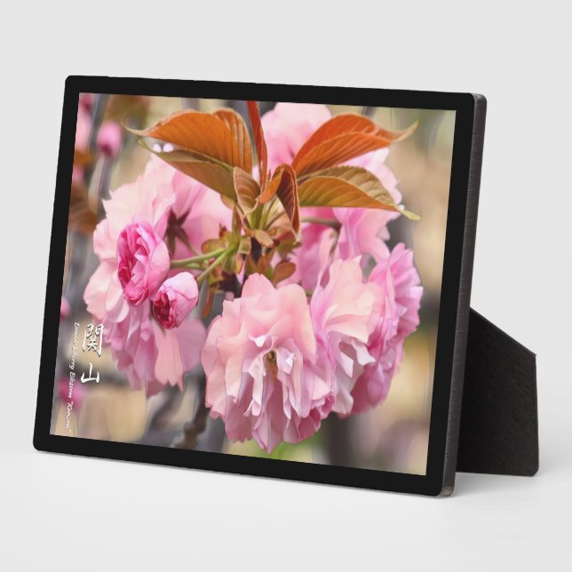 Doppelkirschblüte: Kanzan Fotoplatte (Seite)