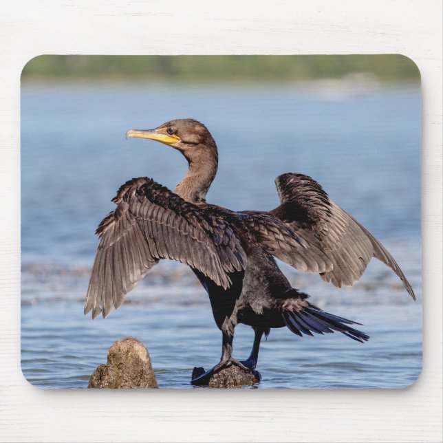 Doppelkreuzer Kormoran am Champlain See Mousepad (Vorne)