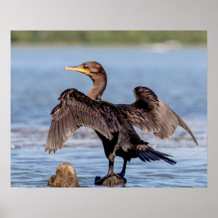 Doppelkreuzer Kormoran am Champlain See Poster