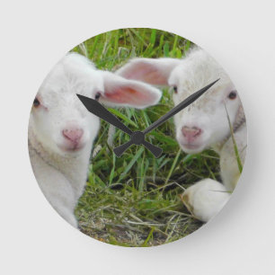 Doppellamm-Baby-Tierdenken an Sie Runde Wanduhr