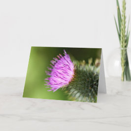 Doppelrosa Kirschblüten im Begrüßungsfrühling Karte