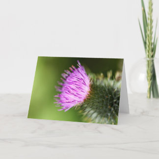 Doppelrosa Kirschblüten im Begrüßungsfrühling Karte