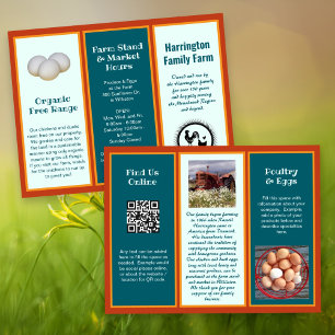 Doppelseitige Farm-Geschäfts-Faltbroschüre Flyer