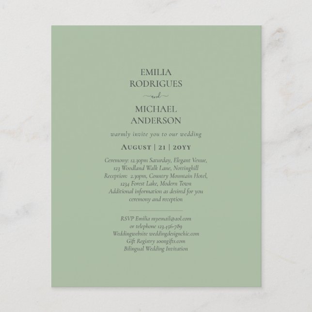 Doppelseitige, zweiseitige HAUSHALTSMITTEL-Monochr Flyer (Vorne)