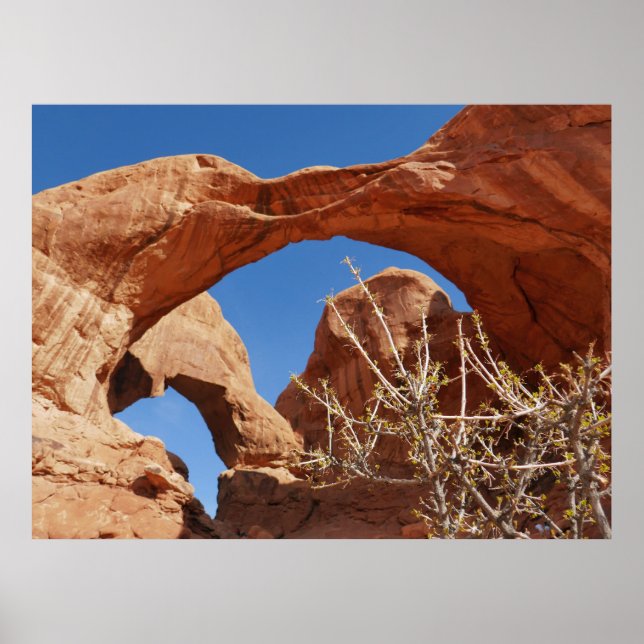 Doppelte Arche im Nationalpark Arches Poster (Vorne)