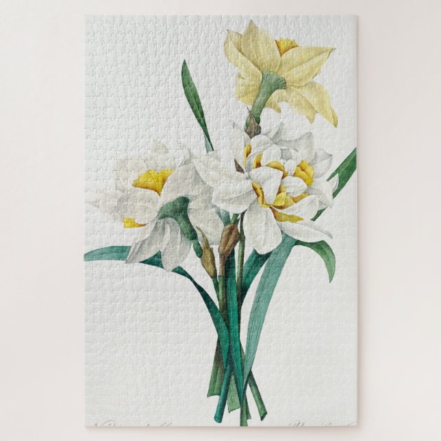 Doppelte Daffodil, Pierre-Joseph Redouté, 1827 Puzzle (Vertikal)