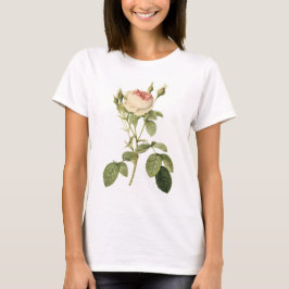 doppelte Moos-Rose durch Redouté T-Shirt
