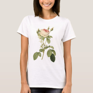 doppelte Moos-Rose durch Redouté T-Shirt