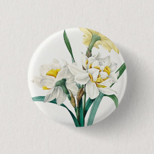 Doppelte Narzisse, Pierre-Joseph Redouté, 1827 Button