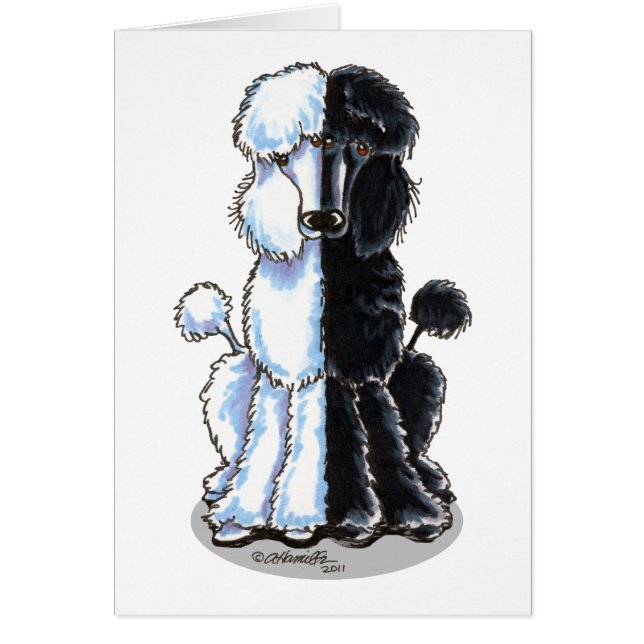 Doppelte Standards (Vorne)