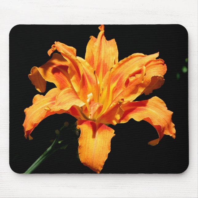 Doppelte Tageslilie Mousepad (Vorne)
