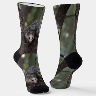 Doppeltes Durcheinander im Blätterdach: Zwilling P Socken