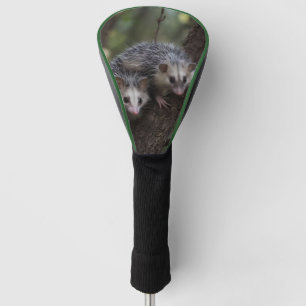 Doppeltes Problem in der Canopy: Zwei Possummen Golf Headcover