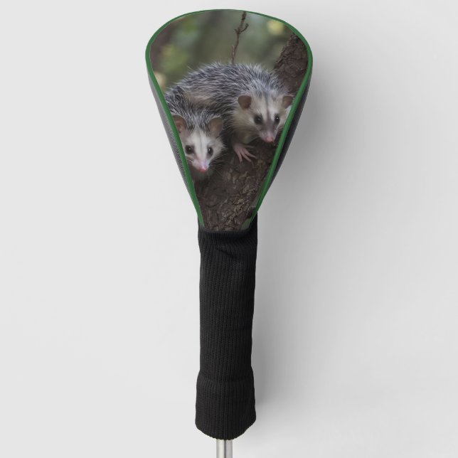 Doppeltes Problem in der Canopy: Zwei Possummen Golf Headcover (Vorderseite)