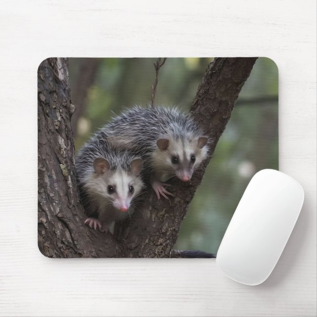Doppeltes Problem in der Canopy: Zwei Possummen Mousepad (Mit Mouse)