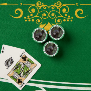 Doppeltes Problem in der Canopy: Zwei Possummen Pokerchips