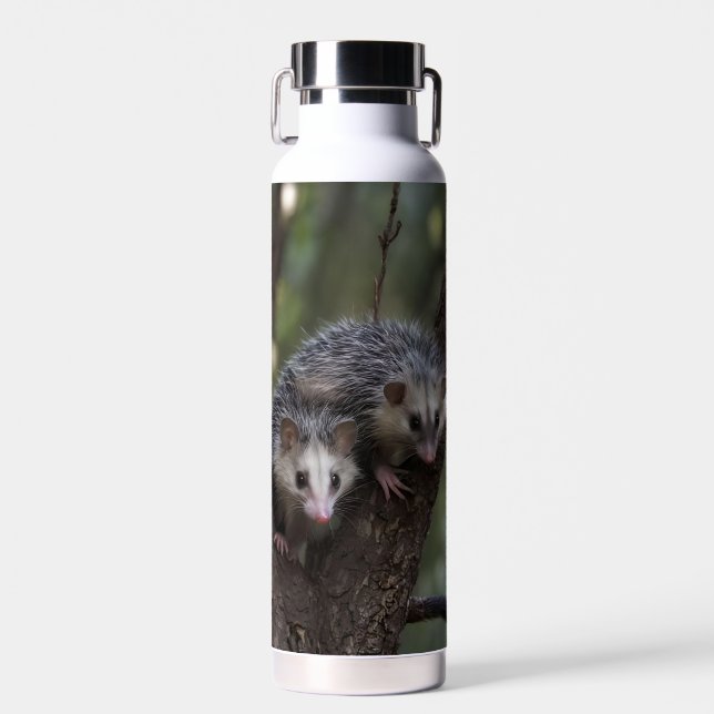 Doppeltes Problem in der Canopy: Zwei Possummen Trinkflasche (Vorne)