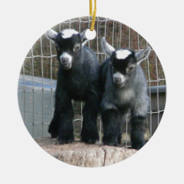 Doppeltes Problem Keramik Ornament (Vorne)