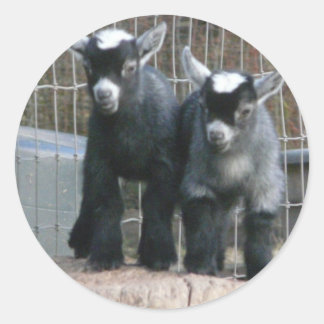 Doppeltes Problem Runder Aufkleber