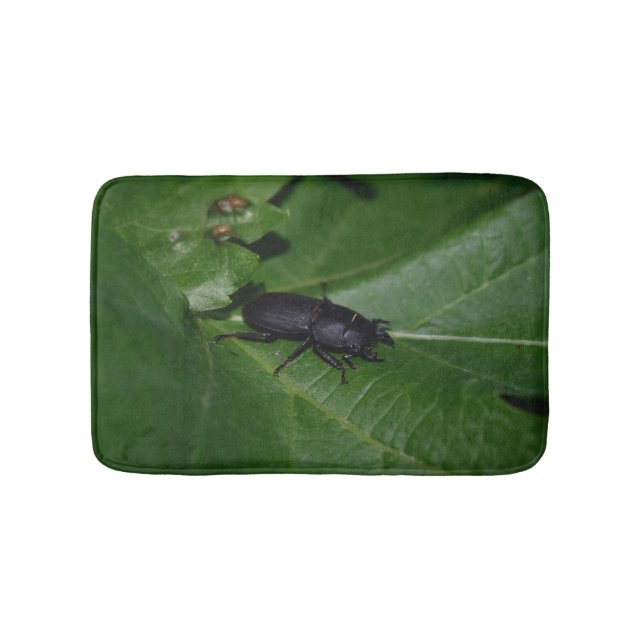 Dorcus parallelipipedus , der kleinere Hirschkäfer Badematte (Vorderseite)