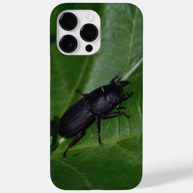 Dorcus parallelipipedus , der kleinere Hirschkäfer Case-Mate iPhone Hülle (Rückseite)