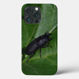 Dorcus parallelipipedus , der kleinere Hirschkäfer Case-Mate iPhone Hülle