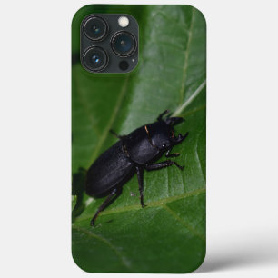 Dorcus parallelipipedus , der kleinere Hirschkäfer Case-Mate iPhone Hülle