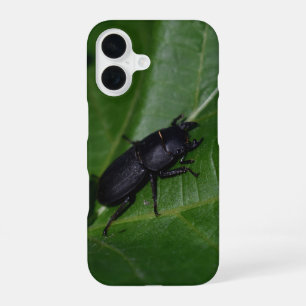 Dorcus parallelipipedus , der kleinere Hirschkäfer iPhone 16 Hülle