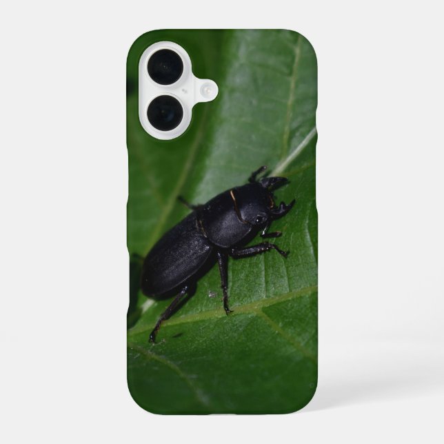 Dorcus parallelipipedus , der kleinere Hirschkäfer iPhone 16 Hülle (Rückseite)