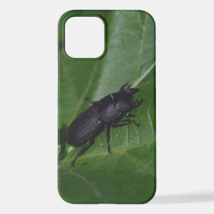 Dorcus parallelipipedus , der kleinere Hirschkäfer iPhone 12 Hülle