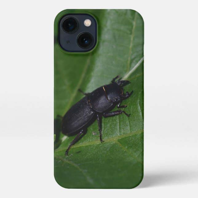 Dorcus parallelipipedus , der kleinere Hirschkäfer iPhone Hülle (Rückseite)